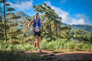 BIB: 9690
                            <button type="button" onclick="openModal(19253251)" class="btn btn-primary btn-sm float-right btn-popup" data-toggle="modal" data-target=".modal-high-quality">
                        <i class="fas fa-shopping-cart"></i> Add to Cart
                    </button>
                                            <button type="button" onclick="isThisMe(19253251, true)" class="btn btn-success btn-sm float-right btn-popup btn-isme hidden" data-toggle="tooltip" data-placement="bottom" title="นี่คือรูปของคุณใช่ไหม คลิกที่นี่เพื่อเอาเข้าอัลบั้ม">
                        <i class="fas fa-plus"></i> Add to album
                    </button>
                    <button type="button" onclick="isThisMe(19253251, false)" class="btn btn-warning btn-sm float-right btn-popup btn-isnotme hidden">
                        <i class="fas fa-ban"></i> Remove from album
                    </button>